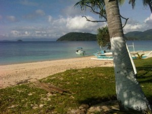 Grasses on the beach and loamy forest soil cagdanao Island