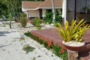 Plants, white sand 